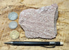 rhyolite porphyry - light pink rhyolite with small phenocrysts - hand specimen