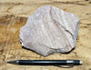 rhyolite porphyry - light pink rhyolite with small phenocrysts - hand specimen