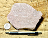 rhyolite porphyry - light pink rhyolite with small phenocrysts - hand specimen