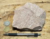 rhyolite porphyry - light pink rhyolite with small phenocrysts - hand/display specimen