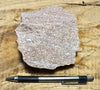 rhyolite porphyry - light pink rhyolite with small phenocrysts - hand/display specimen