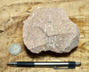 rhyolite porphyry - light pink rhyolite with small phenocrysts - hand/display specimen