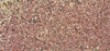 sand - garnetiferous sand composed primarily of quartz and garnet from Pfeiffer Beach, California - set of 5 tubes