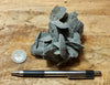 gypsum - unusual sand selenite from a dry lake in the Atacama Desert, Ica Province, southern Peru - hand/display specimen