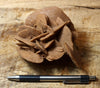 gypsum - sand selenite rose from a dry lake near Oujda, Morocco - large hand/display specimen