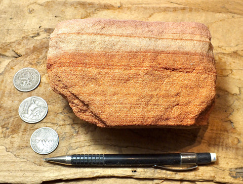 sandstone - fine-grained striped aeolian Navajo Sandstone - teaching hand/display specimen
