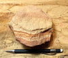sandstone - fine-grained striped aeolian Navajo Sandstone - teaching hand/display specimen