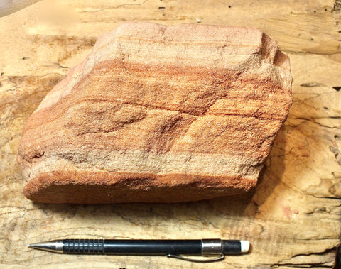 sandstone - fine-grained striped aeolian Navajo Sandstone - large display specimen