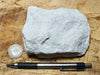 sandstone - Jurassic fine-grained white Navajo Sandstone, naturally bleached by reducing fluids - hand/display specimen