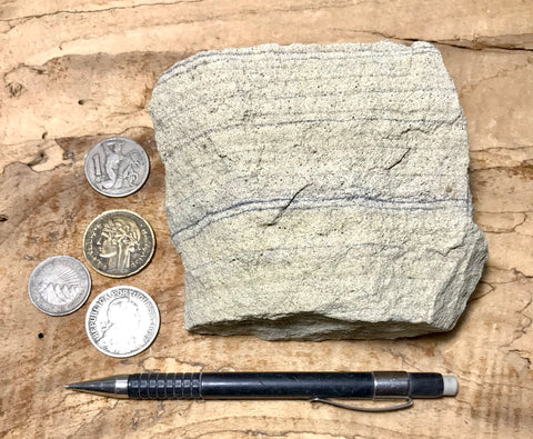 sandstone - laminated fine grained moderately lithified Miocene sandstone from the Ridge Route Fm. - hand/display specimen