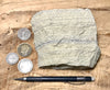 sandstone - laminated fine grained moderately lithified Miocene sandstone from the Ridge Route Fm. - hand/display specimen