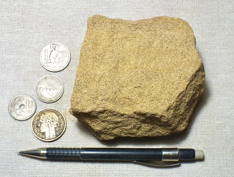 sandstone - orange brown medium-grained moderately lithified Miocene sandstone - hand/display specimen