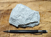 arkose - teaching hand specimen of medium-grained gray-white arkosic sandstone from the Walker Formation of California