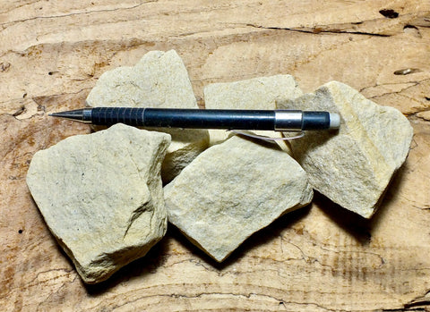 sandstone - yellow fine-grained aeolian sandstone from the Permo-Pennsylvanian Weber Formation - unit of 5 student specimens