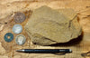 arkose - medium-grained poorly sorted arkosic sandstone from the Lower Eocene Wasatch Formation, Sweetwater County, Wyoming - hand/display specimen