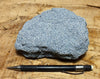 sandstone - teaching hand specimen of a blue weakly-lithified Pliocene sandstone from the Kettleman Hills of California