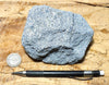 sandstone - teaching hand specimen of a blue weakly-lithified Pliocene sandstone from the Kettleman Hills of California