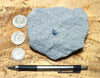 sandstone - teaching hand specimen of a blue weakly-lithified Pliocene sandstone from the Kettleman Hills of California