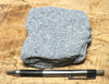 sandstone - teaching hand specimen of a blue weakly-lithified Pliocene sandstone from the Kettleman Hills of California