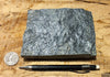 schist -  teaching hand specimen of fine-grained gray mica schist