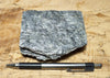 schist -  teaching hand specimen of fine-grained gray mica schist