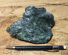 serpentine - teaching hand specimen from the Melones fault zone