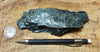 serpentine - teaching hand specimen from the Melones fault zone