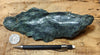serpentine - large hand/display specimen of textbook serpentine from the Melones Fault Zone in Placer County, California