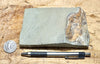 shale - hard green Lower Cambrian shale from the Harkless Formation - teaching hand specimen