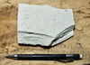 shale -  teaching hand specimen of soft light tan diatomaceous shale from the Upper Miocene Modelo Formation of California