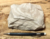 shale -  teaching hand specimen of tan diatomaceous shale from the Monterey Formation, Ventura County, California.