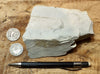 siltstone - tan siltstone from the Round Mountain Silt member of the Temblor Formation - teaching hand/display specimen