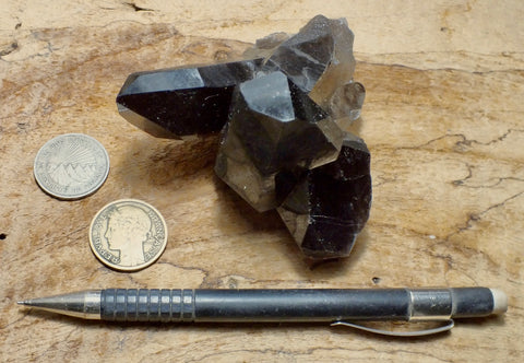 smoky quartz crystal cluster - teaching specimen from Novo Horizonte, Bahia, Brazil