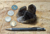 smoky quartz crystal cluster - teaching specimen from Novo Horizonte, Bahia, Brazil