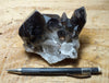 smoky quartz crystal cluster - teaching specimen from Novo Horizonte, Bahia, Brazil
