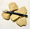 sandstone - yellow-brown medium-grained non-marine Miocene sandstone - Unit of 5 student specimens - Geological Specimen Supply
