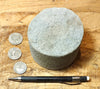 sandstone - medium grained gray - 4" diameter oil well core section from the Stevens Sand