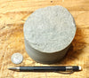 sandstone - medium grained gray - 4" diameter oil well core section from the Stevens Sand