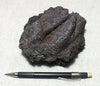 tachylite - fragile basaltic glass from the 2018 Kilauea eruption that destroyed Kapoho, Hawaii - large hand/display specimen ropy on one side