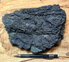tachylite - tachylite from the 2018 Kilauea flow that destroyed Kapoho, Hawaii - display specimen