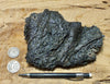tachylite - ropy basaltic glass from the 2018 Kilauea eruption that destroyed Kapoho, Hawaii - large hand/display specimen
