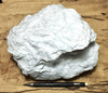 talc - soft white talc from the Acme Mine, Alexander Hills, San Bernardino County, California - excellent large display specimen
