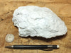 talc - soft white talc from the Acme Mine, Alexander Hills, San Bernardino County, California - large hand/display specimen