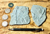 trace fossils - Cambrian vermiform (worm-like) trace fossils from the Davis Formation, Missouri - hand specimen