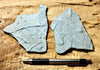 trace fossils - Cambrian vermiform (worm-like) trace fossils from the Davis Formation, Missouri - hand specimen