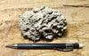 tufa - hand specimen from the paleoshoreline of ice age Lake Lahontan