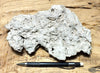 tufa - hand/display specimen from the paleoshoreline of ice age Lake Lahontan