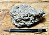 tufa - hand specimen from the paleoshoreline of ice age Lake Lahontan