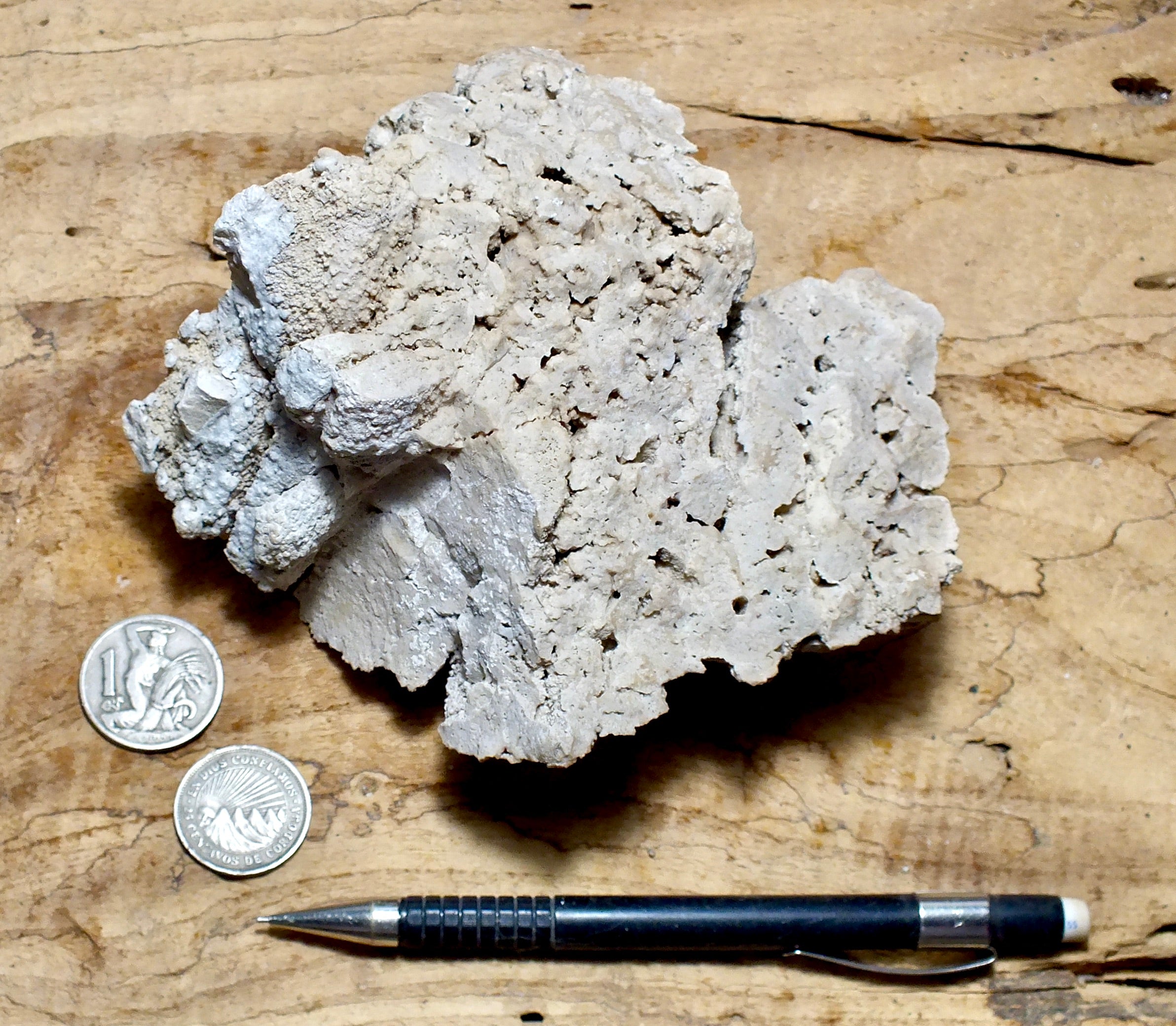 tufa - hand/display specimen from the paleoshoreline of ice age Lake L ...