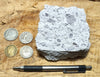 tuff - rhyolitic tuff with pumice clasts - a classic ignimbrite or pumice-dominated pyroclastic deposit - teaching hand/display specimen